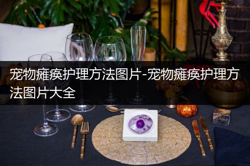 宠物瘫痪护理方法图片-宠物瘫痪护理方法图片大全