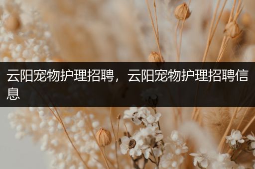 云阳宠物护理招聘，云阳宠物护理招聘信息