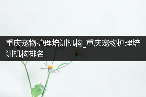 重庆宠物护理培训机构_重庆宠物护理培训机构排名