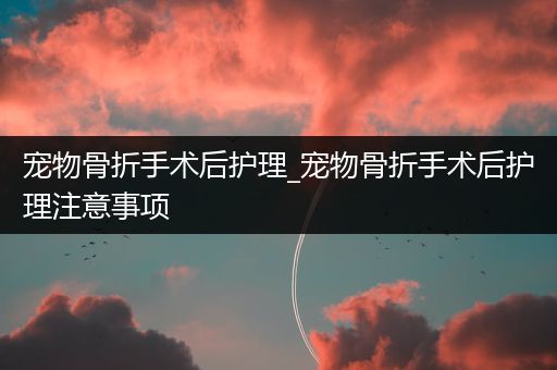 宠物骨折手术后护理_宠物骨折手术后护理注意事项