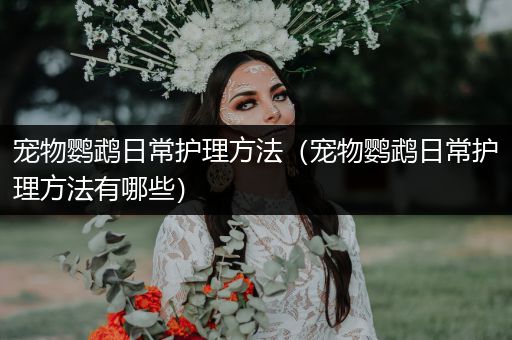 宠物鹦鹉日常护理方法（宠物鹦鹉日常护理方法有哪些）