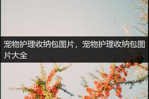 宠物护理收纳包图片，宠物护理收纳包图片大全