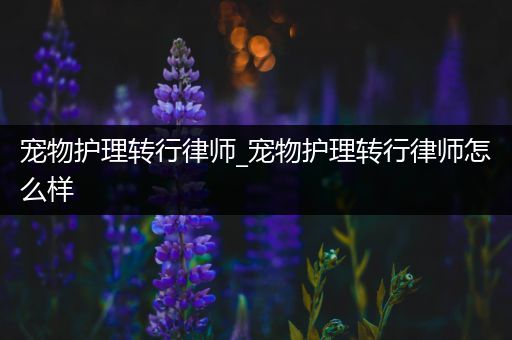 宠物护理转行律师_宠物护理转行律师怎么样