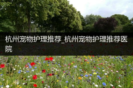 杭州宠物护理推荐_杭州宠物护理推荐医院