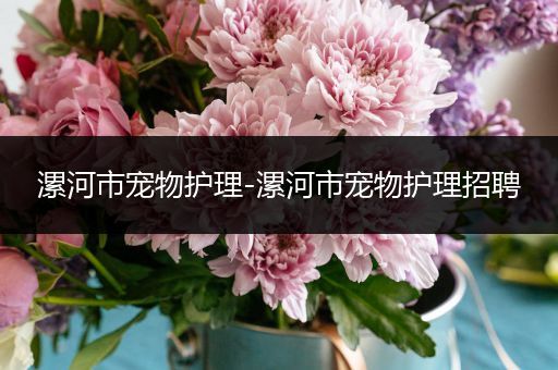 漯河市宠物护理-漯河市宠物护理招聘
