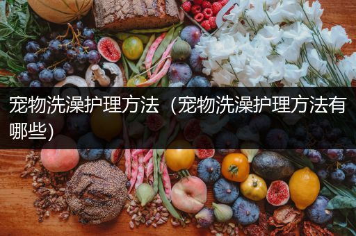 宠物洗澡护理方法（宠物洗澡护理方法有哪些）