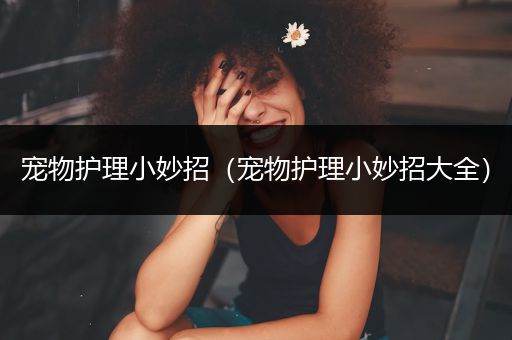 宠物护理小妙招（宠物护理小妙招大全）