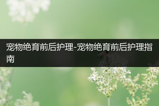 宠物绝育前后护理-宠物绝育前后护理指南