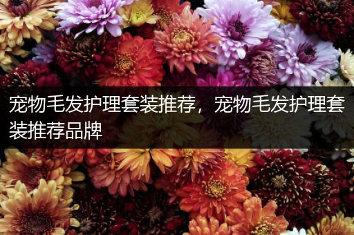 宠物毛发护理套装推荐，宠物毛发护理套装推荐品牌