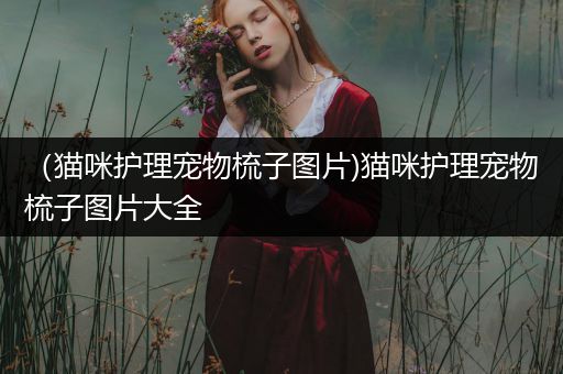 （猫咪护理宠物梳子图片)猫咪护理宠物梳子图片大全