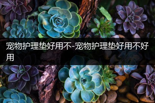 宠物护理垫好用不-宠物护理垫好用不好用