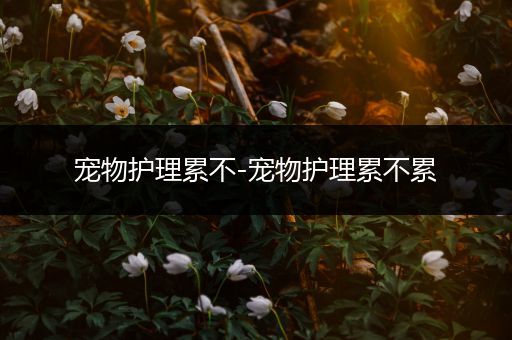 宠物护理累不-宠物护理累不累