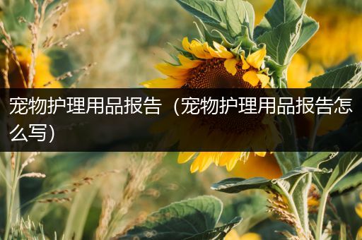 宠物护理用品报告（宠物护理用品报告怎么写）
