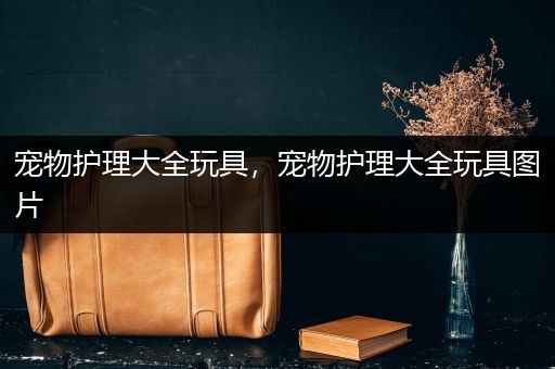 宠物护理大全玩具，宠物护理大全玩具图片