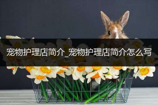 宠物护理店简介_宠物护理店简介怎么写