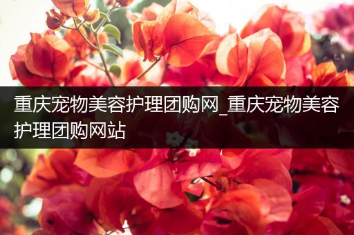重庆宠物美容护理团购网_重庆宠物美容护理团购网站