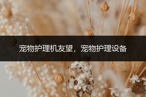 宠物护理机友望，宠物护理设备