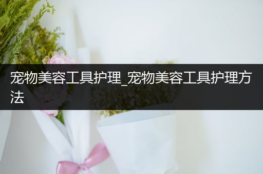 宠物美容工具护理_宠物美容工具护理方法