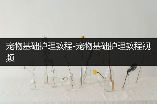 宠物基础护理教程-宠物基础护理教程视频