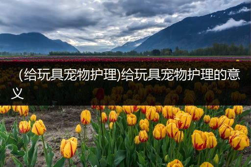 （给玩具宠物护理)给玩具宠物护理的意义