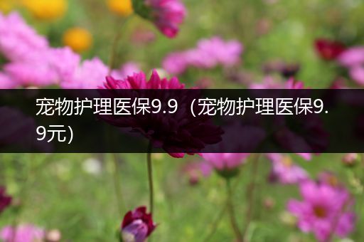 宠物护理医保9.9（宠物护理医保9.9元）