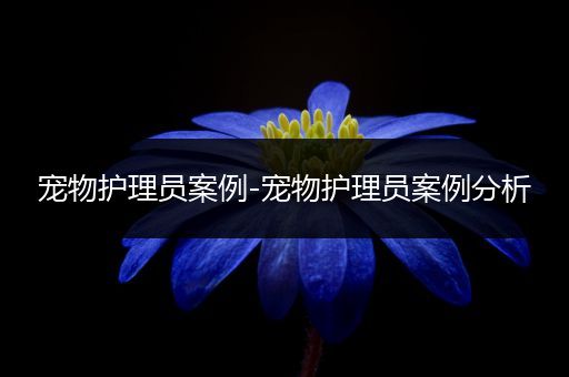 宠物护理员案例-宠物护理员案例分析