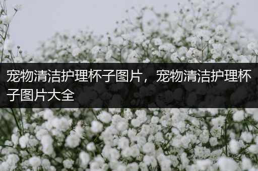 宠物清洁护理杯子图片，宠物清洁护理杯子图片大全