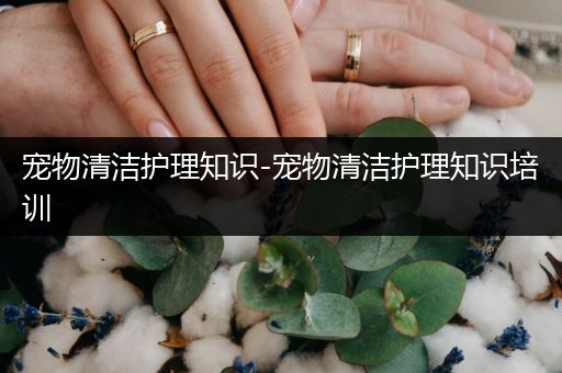 宠物清洁护理知识-宠物清洁护理知识培训