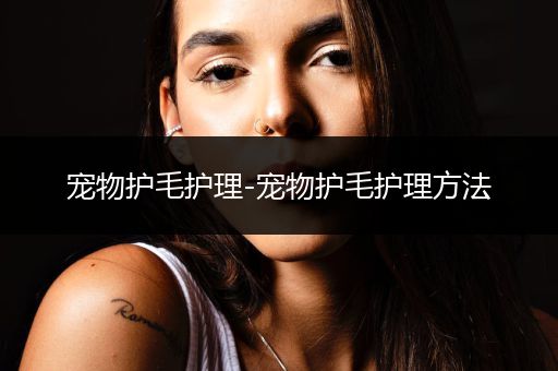 宠物护毛护理-宠物护毛护理方法