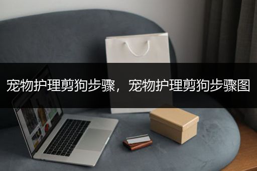 宠物护理剪狗步骤，宠物护理剪狗步骤图