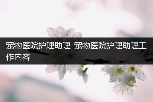 宠物医院护理助理-宠物医院护理助理工作内容