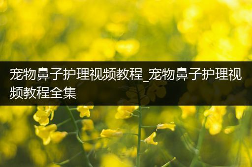 宠物鼻子护理视频教程_宠物鼻子护理视频教程全集