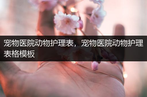 宠物医院动物护理表，宠物医院动物护理表格模板