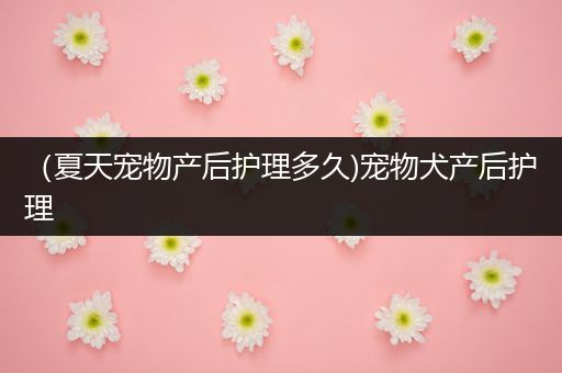 （夏天宠物产后护理多久)宠物犬产后护理