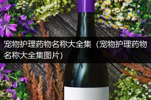 宠物护理药物名称大全集（宠物护理药物名称大全集图片）