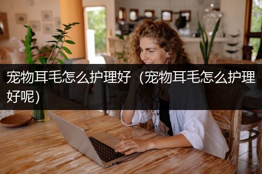 宠物耳毛怎么护理好（宠物耳毛怎么护理好呢）