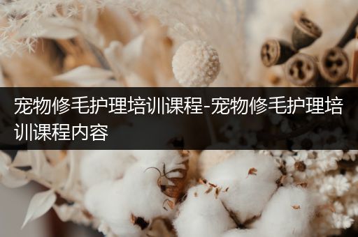 宠物修毛护理培训课程-宠物修毛护理培训课程内容