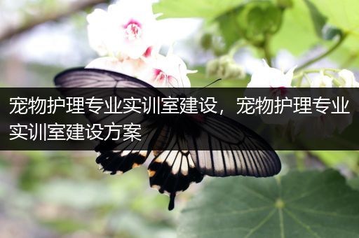 宠物护理专业实训室建设，宠物护理专业实训室建设方案