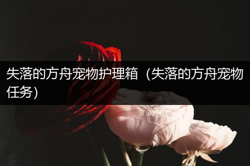 失落的方舟宠物护理箱（失落的方舟宠物任务）