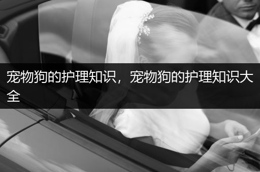 宠物狗的护理知识，宠物狗的护理知识大全