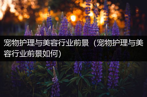 宠物护理与美容行业前景（宠物护理与美容行业前景如何）