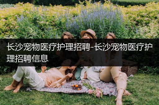 长沙宠物医疗护理招聘-长沙宠物医疗护理招聘信息