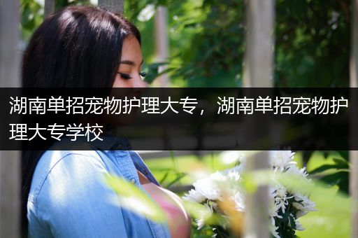 湖南单招宠物护理大专，湖南单招宠物护理大专学校