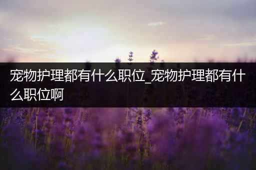 宠物护理都有什么职位_宠物护理都有什么职位啊