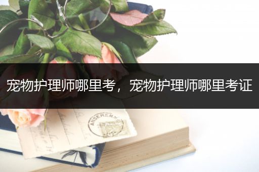 宠物护理师哪里考，宠物护理师哪里考证