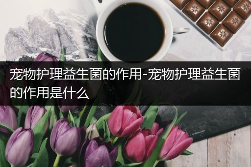 宠物护理益生菌的作用-宠物护理益生菌的作用是什么