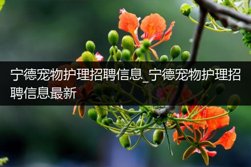 宁德宠物护理招聘信息_宁德宠物护理招聘信息最新