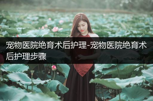 宠物医院绝育术后护理-宠物医院绝育术后护理步骤