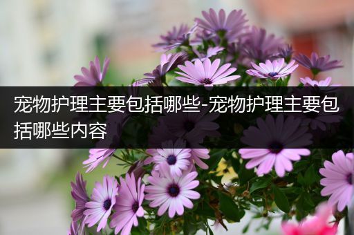 宠物护理主要包括哪些-宠物护理主要包括哪些内容