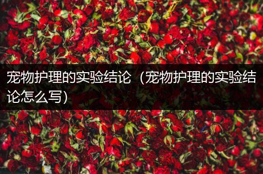 宠物护理的实验结论（宠物护理的实验结论怎么写）